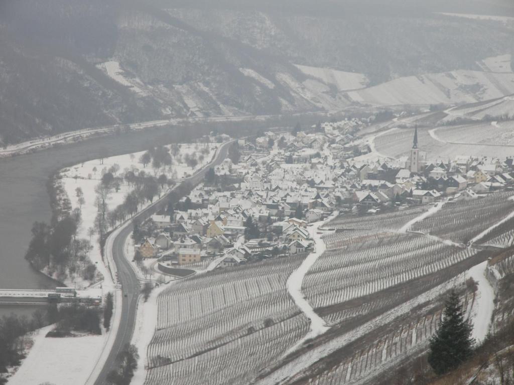 Hotel Dampfmuehle Enkirch Kültér fotó